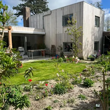 Urban Art House *