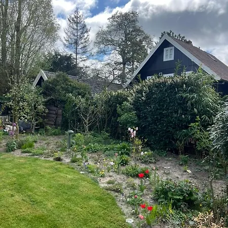 Urban Art House